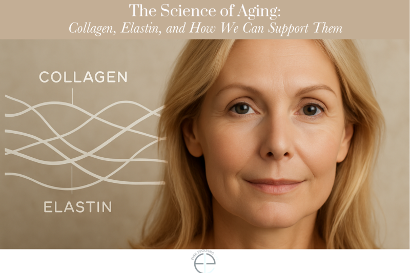 The Science of Aging: Collagen, Elastin, and How We Can Support Them